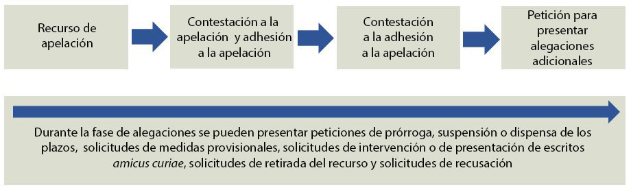 pasos hacia una apelacion penal